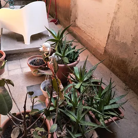 Casa Per Gente Giovane